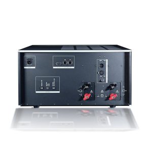 Alternative view of Soulution - 701 Amplificador Mono Serie 7